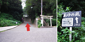 看板と神社